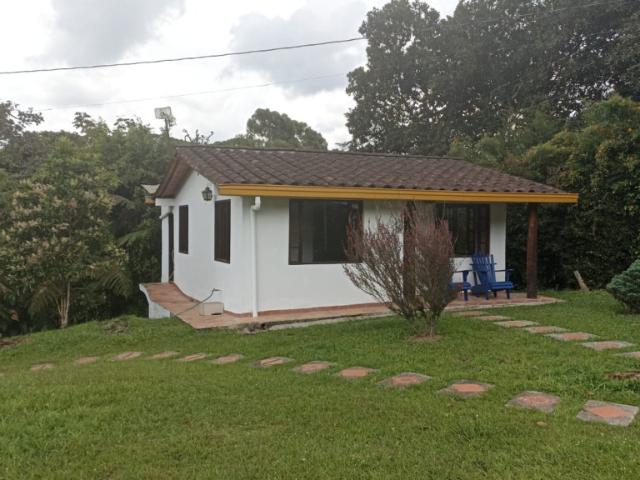 Finca En Arriendo En La Union En Via La Ceja La Union A360190