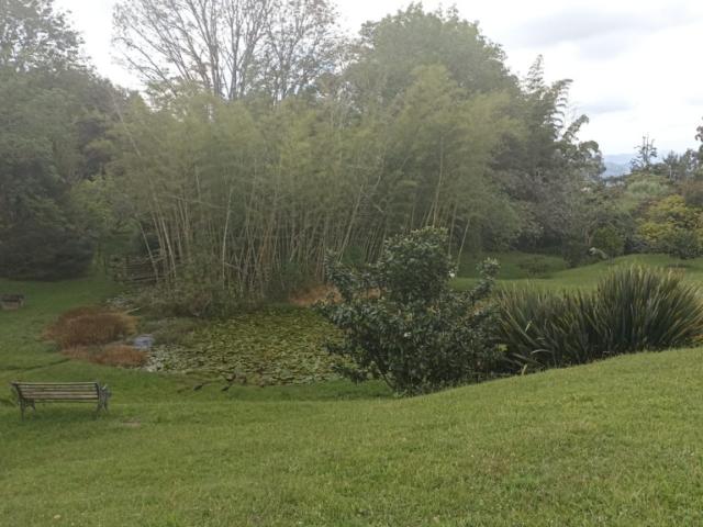 Finca En Arriendo En La Union En Via La Ceja La Union A360190