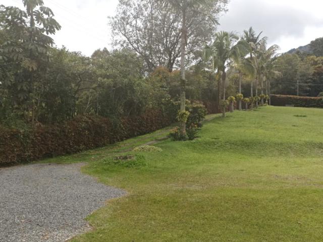 Finca En Arriendo En La Union En Via La Ceja La Union A360190