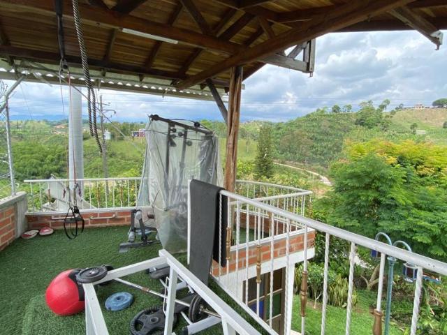Finca En Arriendo En Pereira En Cuba A336649