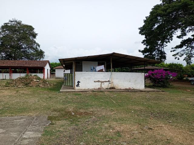 Finca En Arriendo En Puerto Tejada A281393