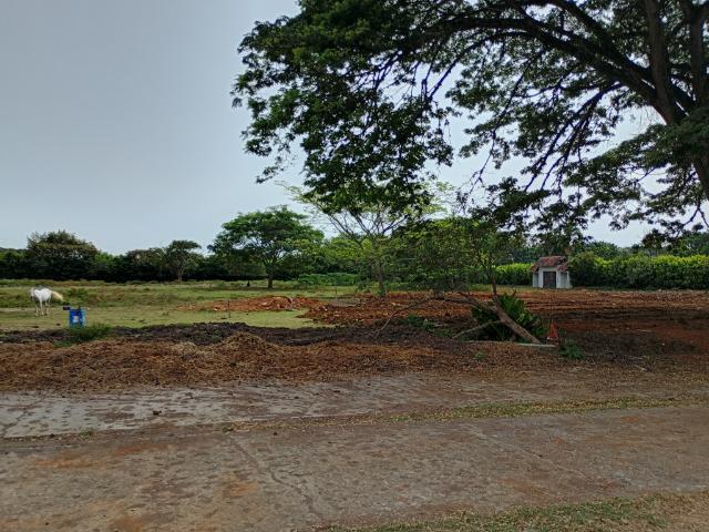 Finca En Arriendo En Puerto Tejada A281393