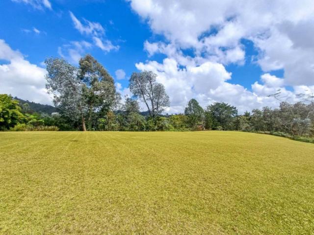 Finca en arriendo en Antioquia, Sajonia