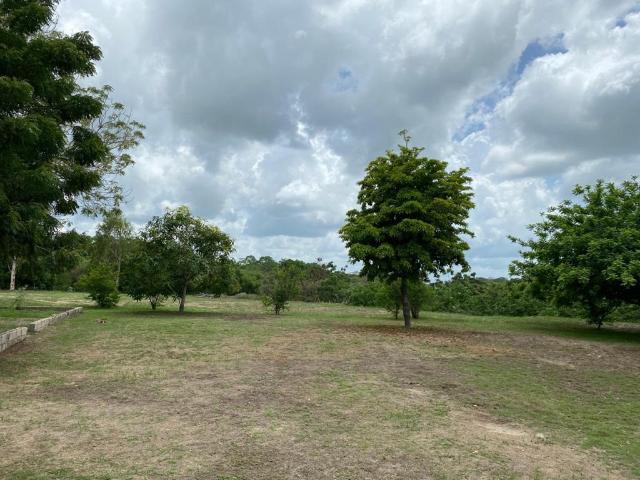 Finca En Arriendo En Sabanagrande En San Isidro A179674