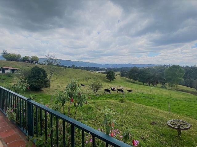 Finca En Arriendo En Subachoque En. A208851