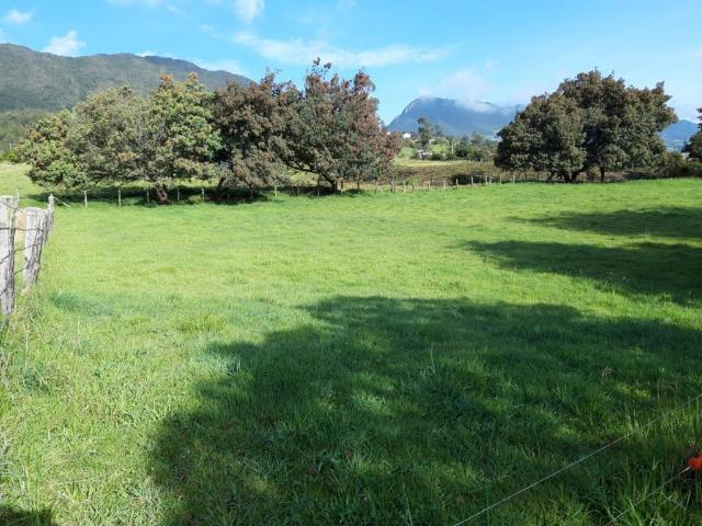 Finca En Arriendo En Tabio En Tabio A74902