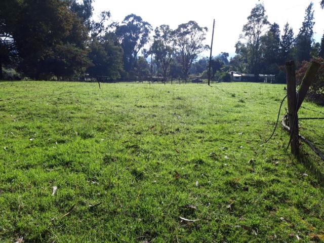 Finca En Arriendo En Tabio En Tabio A74902