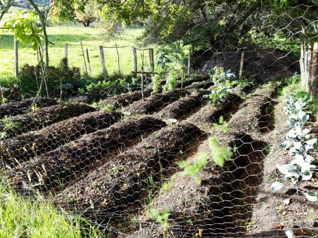 Finca En Arriendo En Tabio En Tabio A74902