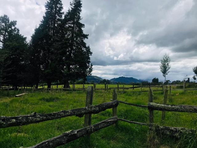 Finca En Arriendo En Tabio En Tabio A74902