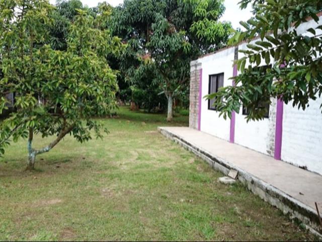 Finca En Arriendo En Tulua En Tres Esquinas A277355