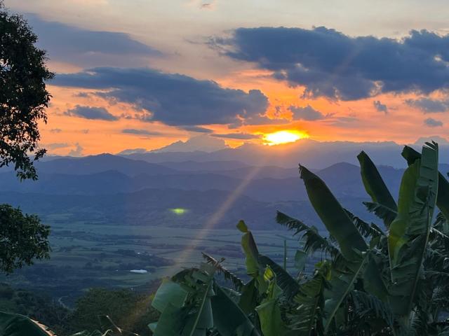 Finca En Arriendo En Viterbo En Vereda Morro Azul A254771