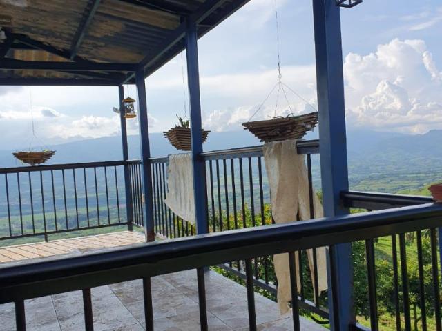 Finca En Arriendo En Viterbo En Vereda Morro Azul A254771