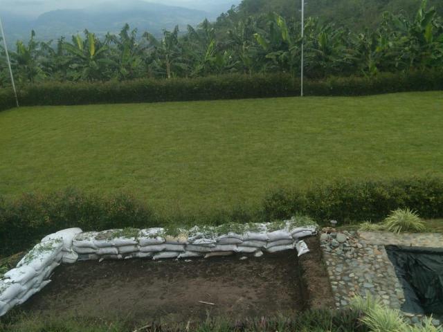Finca En Arriendo En Viterbo En Vereda Morro Azul A254771