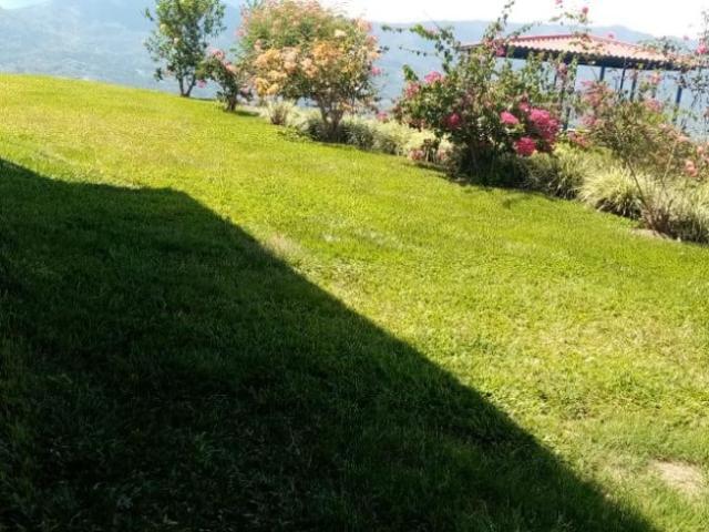 Finca En Arriendo En Viterbo En Vereda Morro Azul A254771