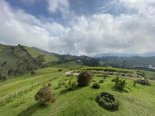 Finca En Arriendo En Zipacon En. A166595