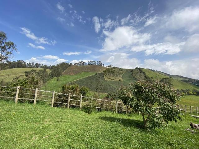 Finca En Arriendo En Zipacon En. A166595