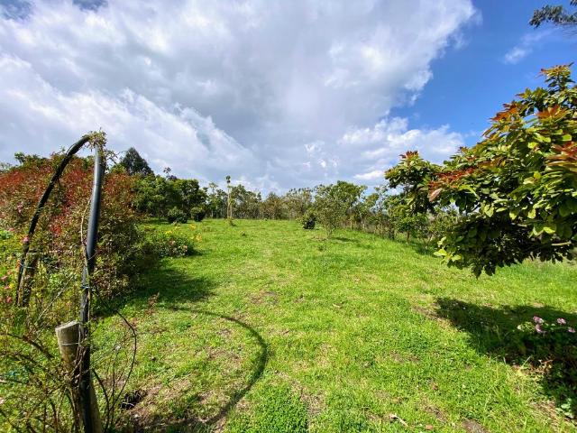Finca En Arriendo En Zipacon En. A166595
