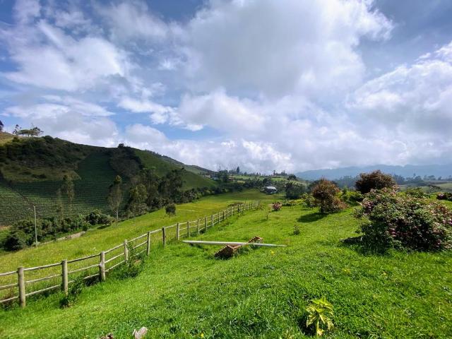 Finca En Arriendo En Zipacon En. A166595