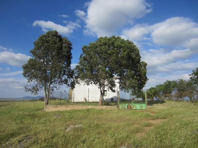 Chalet en venta en Campanario, Badajoz