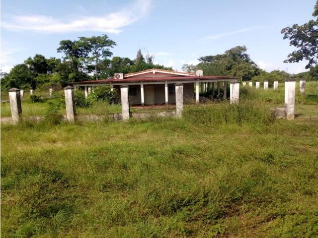Finca en venta en San Carlos, Cojedes