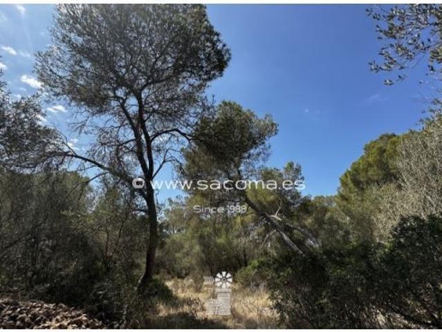 Casa en venta en Llucmajor, Migjorn