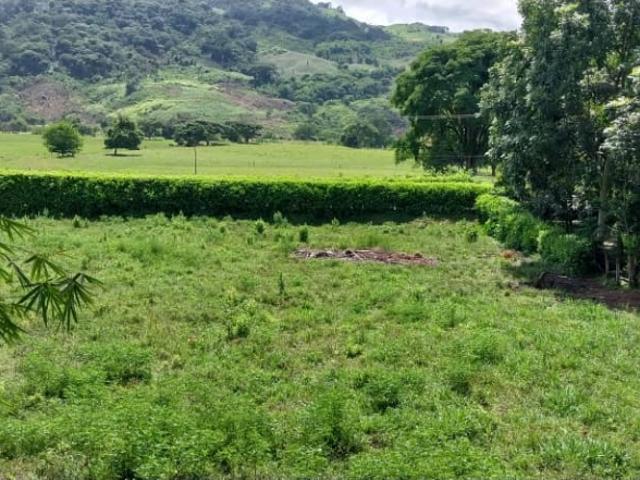 Finca en venta en Gua, Portuguesa