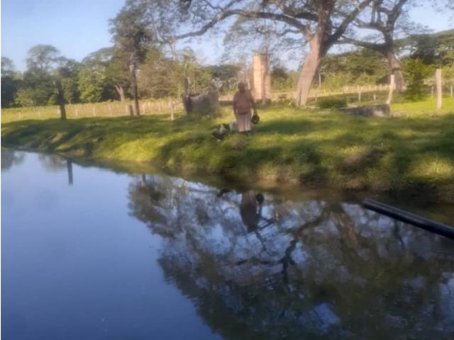 Finca en venta en Gua, Portuguesa