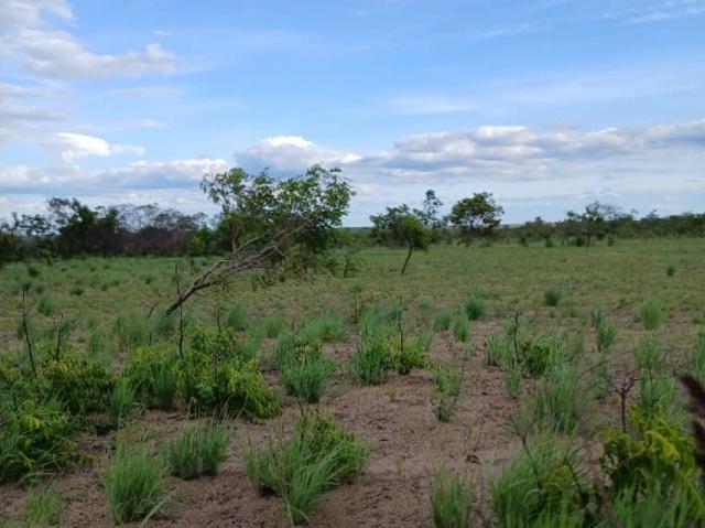 Finca en venta en El Tigre, Amazonas