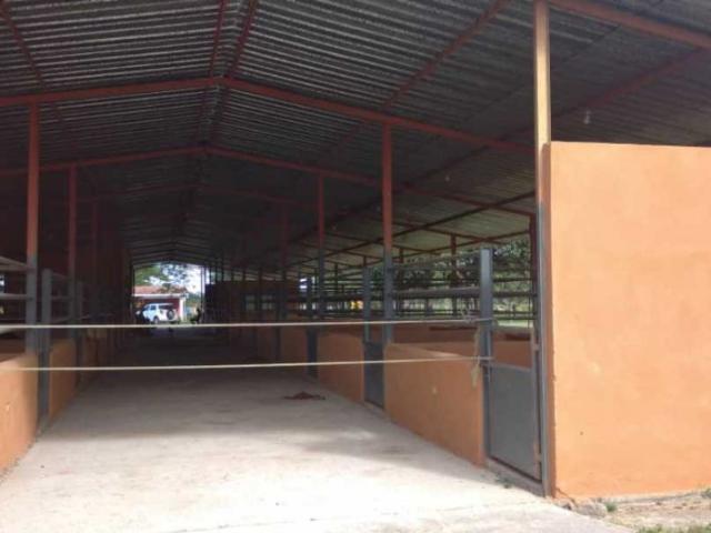 Finca en venta en Valencia