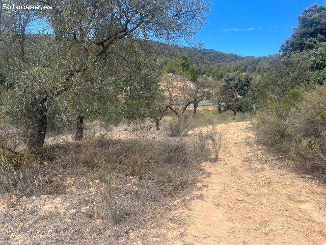 Local Comercial en venta en Horta De Sant Joan