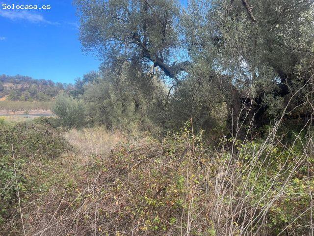 Local Comercial en venta en Terra Alta, Catalunya