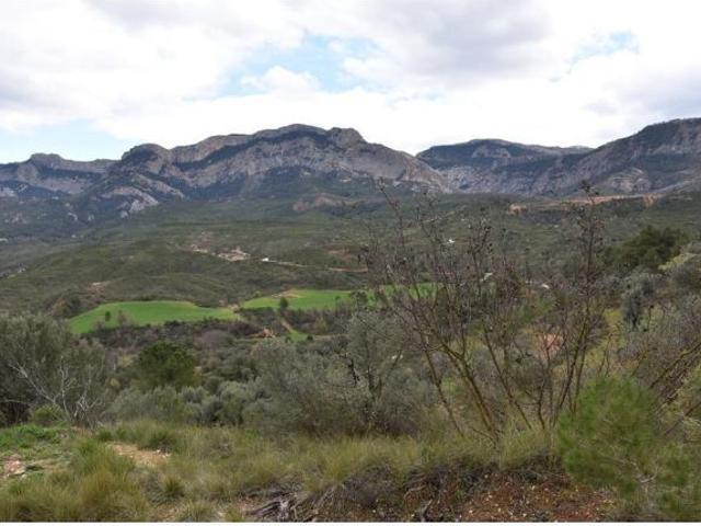 Local Comercial en venta en Terra Alta, Catalunya