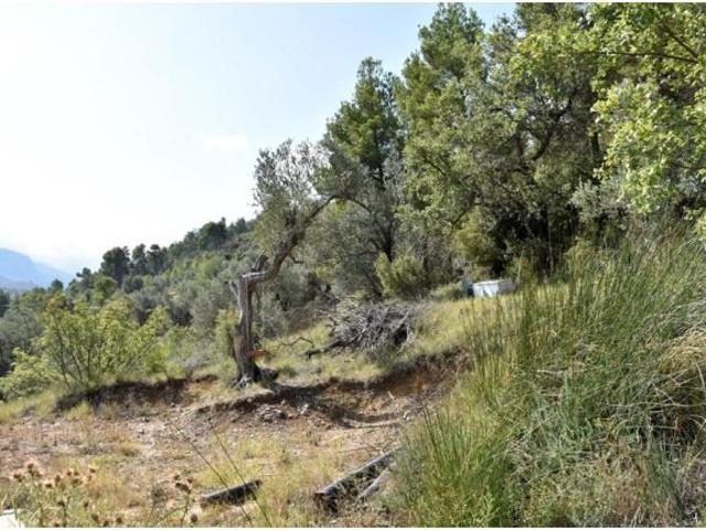 Local Comercial en venta en Horta De Sant Joan