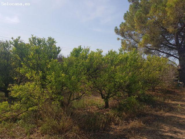 Local Comercial en venta en Montsià, Catalunya