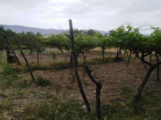 Local Comercial en venta en Abla, Andalucía