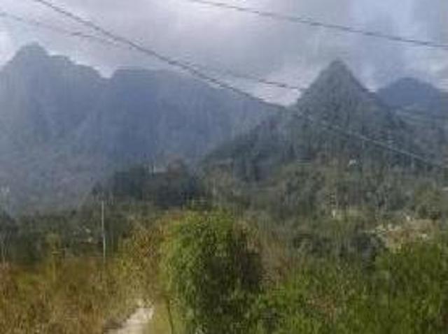 FINCA EN LA VIA HACIA EL VALLE 1 HECTAREA