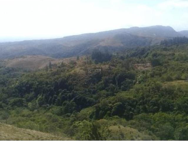 FINCA EN LA VIA HACIA EL VALLE 1 HECTAREA