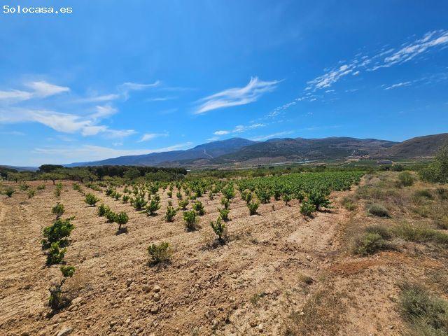 Local Comercial en venta en Láujar De Andarax, Andalucía