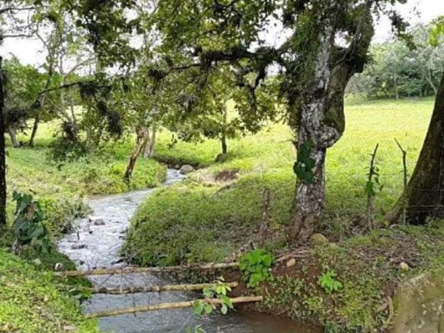 Finca en Los Algarrobos, Chiriquí, 4 hectáreas