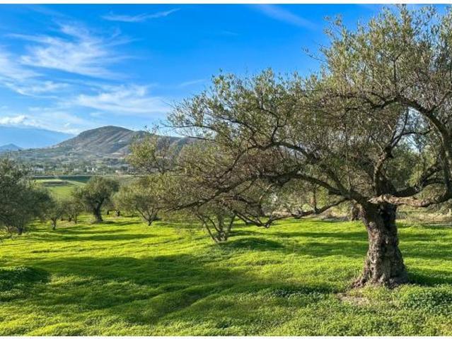 Local Comercial en venta en Valle del Guadalhorce, Andalucía