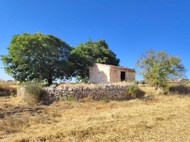 Terreno en venta en Manacor, Llevant