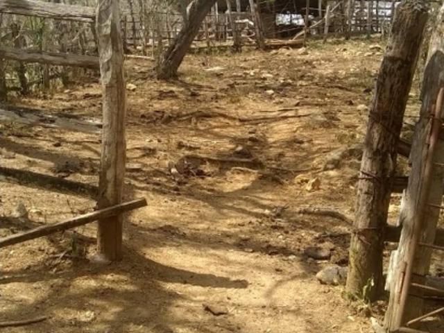 Finca en venta en Santa Ana De Coro, Falcón