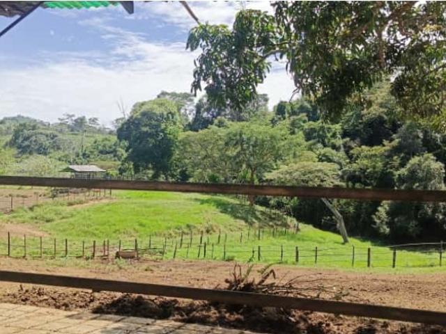 Finca en venta en Valencia, Carabobo