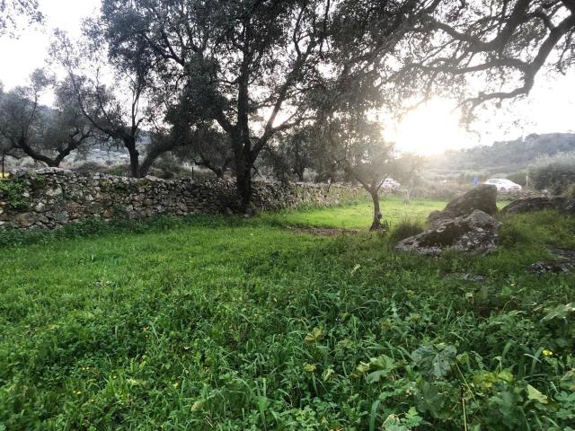 Terreno en venta en Montánchez, Extremadura