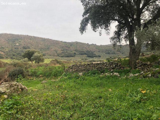 Local Comercial en venta en Montánchez, Extremadura