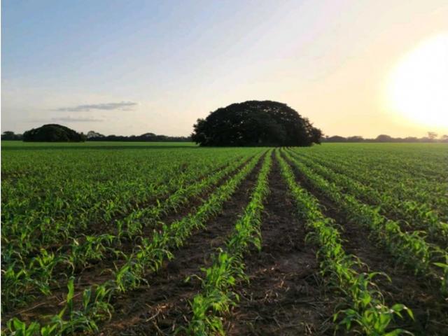 Finca en venta en Ortiz, Guárico