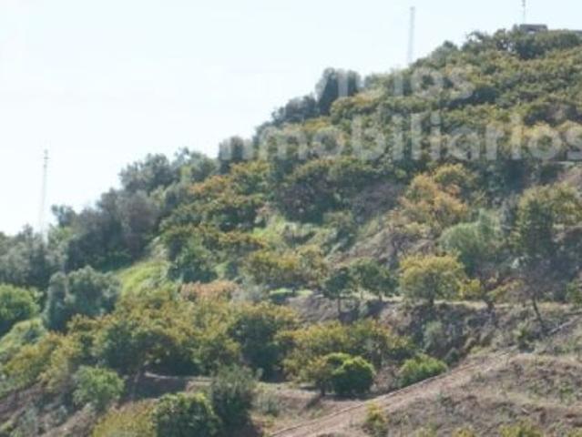 Local Comercial en venta en La Axarquía, Andalucía