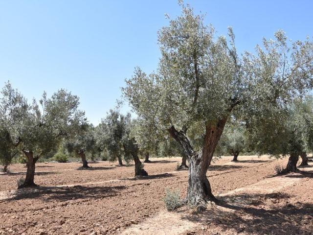 Villa en venta en Arens De Lledó