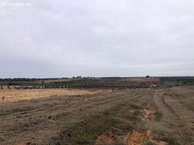 Local Comercial en venta en La Rozuela, Bollullos Par del Condado