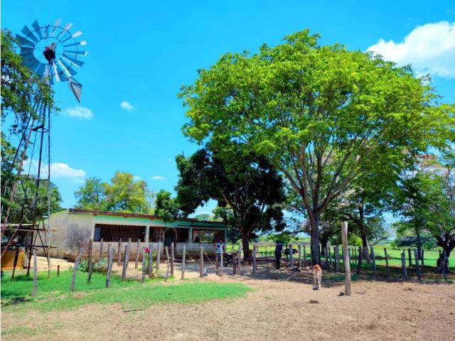 Finca en venta en Arismendi, Barinas